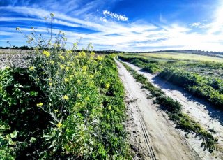 Finca rústica con pozo cerca de Madrid – oportunid