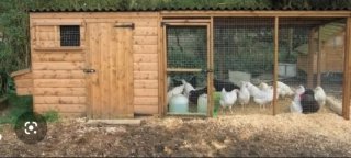 Finca rústica con pozo cerca de Madrid – oportunid