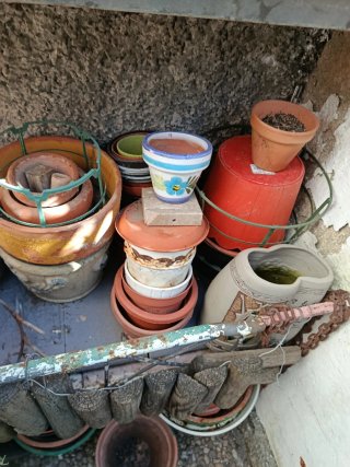 Lote Macetas Barro y Plástico