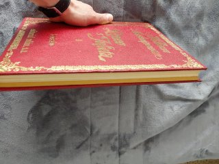 LIBRO (ROMEO Y JULIETA)