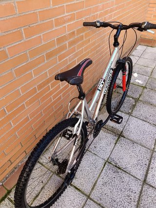 Bicicleta topbike