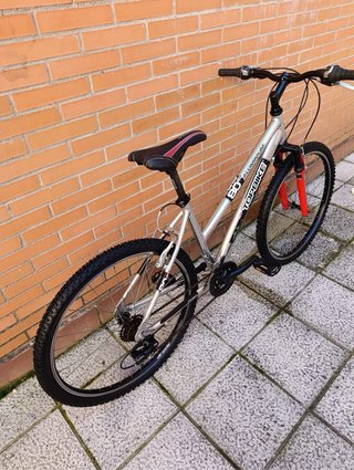 Bicicleta topbike