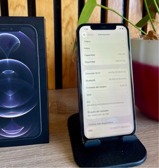 iPhone 12 Pro 256GB gris espacial