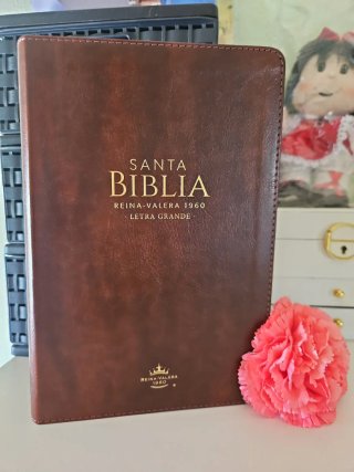 Biblia RVR 1960 Letra Grande Tamaño Manual Sími...