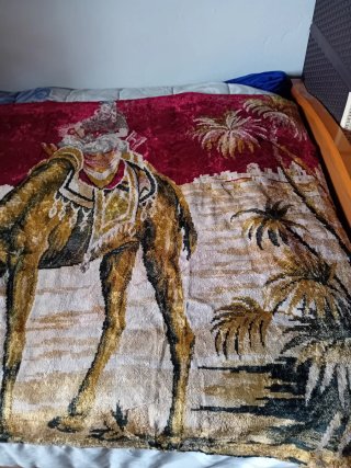 Tapiz antiguo camellos y jinete