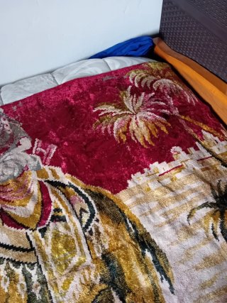 Tapiz antiguo camellos y jinete