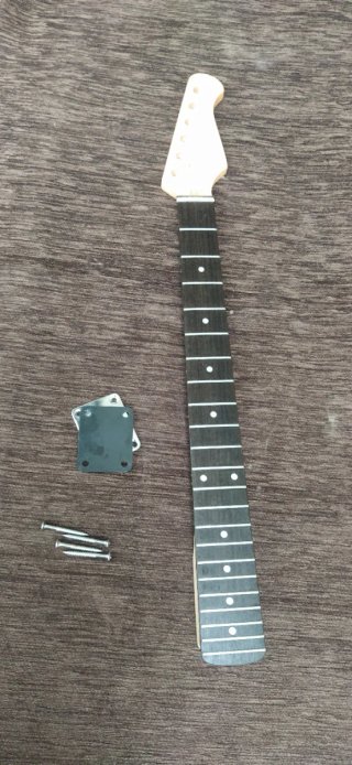 Mastil guitarra eléctrica