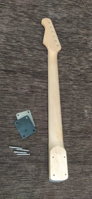 Mastil guitarra eléctrica