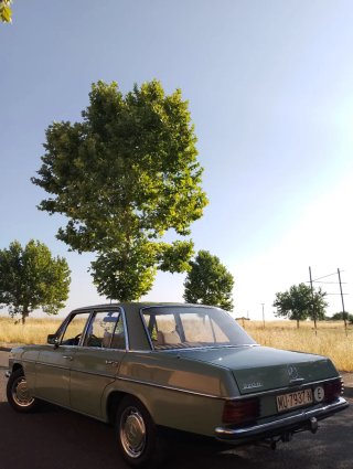 Mercedes-Benz 220D 1980
