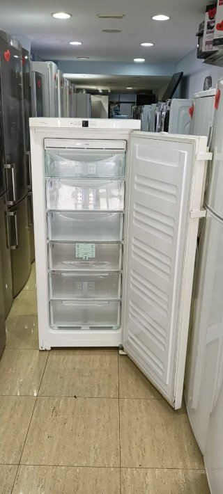 CONGELADOR VERTICAL LIEBHERR NO FROST ENERGÍA A+