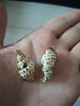 Colgantes de caracolas