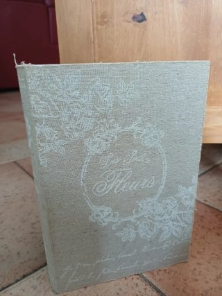 Scatola segreta libro decorativo