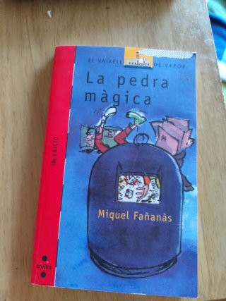 La pedra màgica