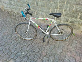 Mountain bike raggio 26