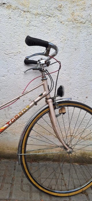 Bicicleta de paseo Torrot