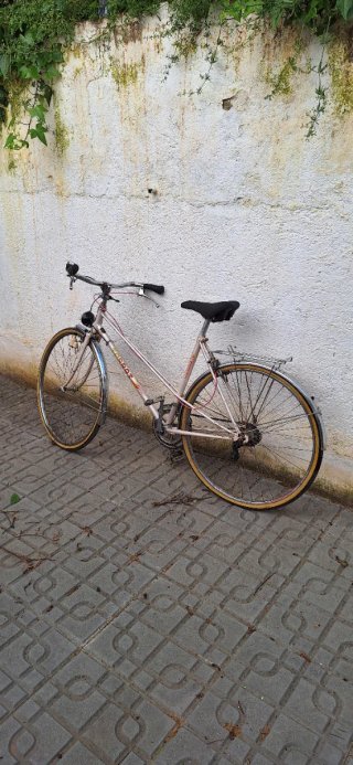 Bicicleta de paseo Torrot