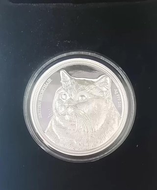 Moneda British Shorthair Proof Plata