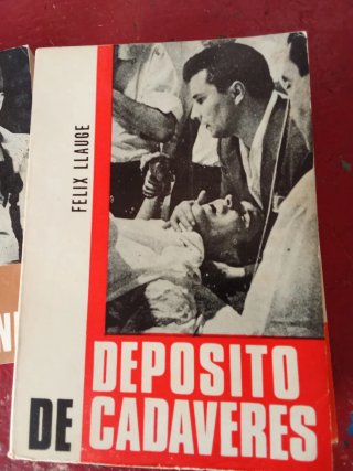 Novela terror ficcion