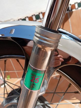 Yamaha 250 Especial