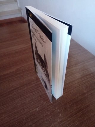 El gato que venía del cielo (Literaturas) (Span...