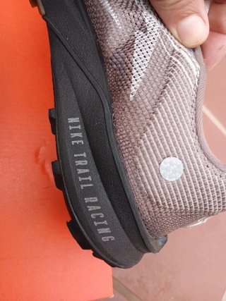 Zapatillas Nike Trail Running Beige/Marrón