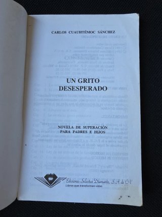 Un grito desesperado : novela de superación per...