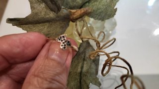 Anillo Oso Tous Negro Plata