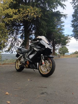 Honda VFR 800 V-Tech