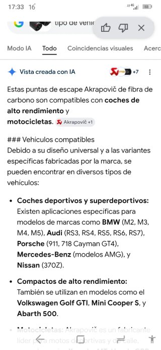 2 Colas de Escape Carbono BMW Audi Golf