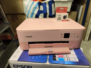 Impresora Canon PIXMA Rosa TS5352a