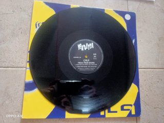 Gala Freedom Desire Vinilo