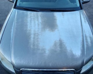 Audi bke motor completo a4 berlina (8e) 353190