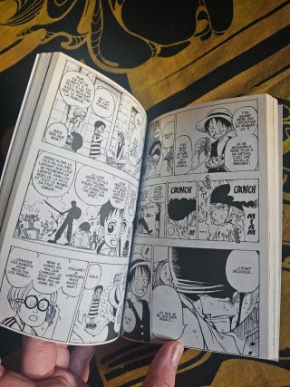 One Piece en francés