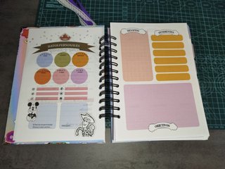 Agenda Disney 100 2026
