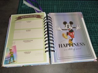 Agenda Disney 100 2026