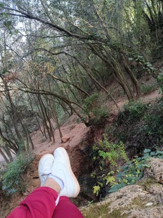 Cuidador de perros todo baix llobregat y alrededor