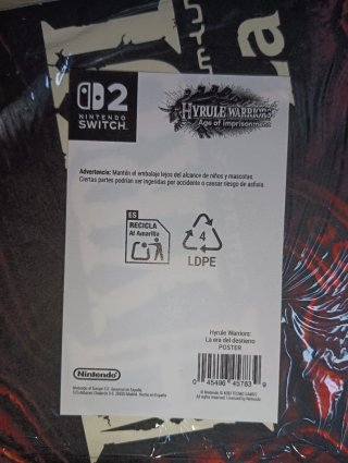 Póster Hyrule Warriors:La era del destierro