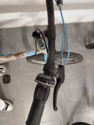 Bicicleta infantil 20 pulgadas