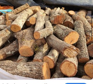 Leña de pino y encina para chimenea