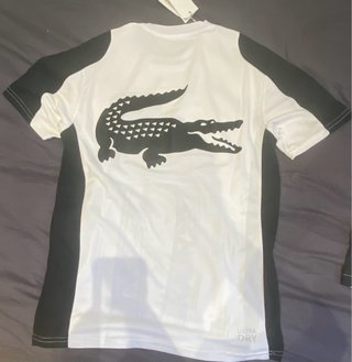 Conjunto Lacoste Camiseta y Pantalón Corto
