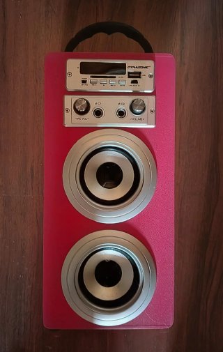 Altavoz Karaoke Portátil Dynasonic