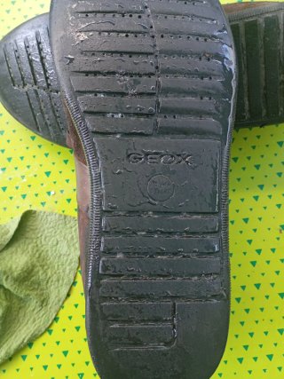 Zapatos Geox Piel Marrón