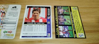 Lote Cromos Fernando Torres
