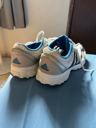Zapatillas Adidas Blancas y Azules
