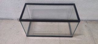 Pecera, Filtro AquaClear, Resistencia y Paridera