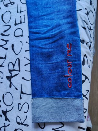 Pantalón vaquero Desigual bordado