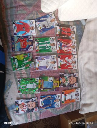 Cartas Panini