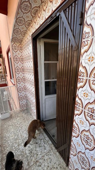 Reja de puerta extensible. 2x1.1 m