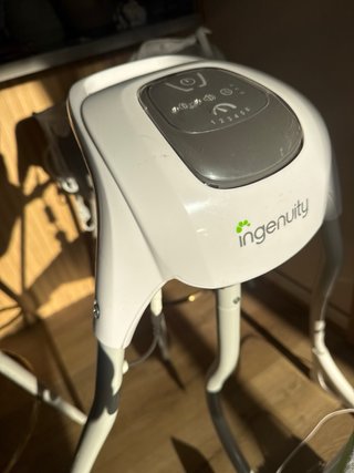 Columpio eléctrico Ingenuity