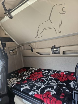 Man Tgx 2020